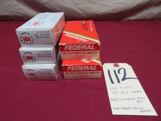 .45 ACP ammo - 250 rounds