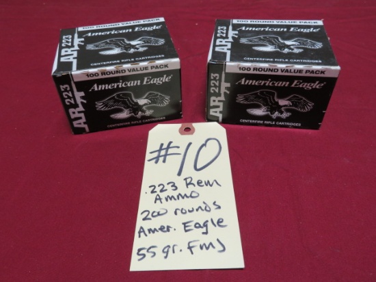 .223 Rem. Ammo - 200 rounds