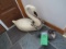 Swan & Duck decoy