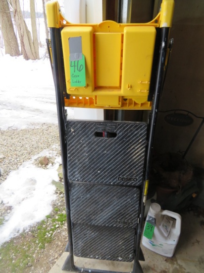 Cosco stepladder
