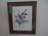 Duck Picture