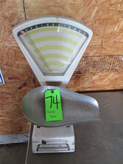 Toledo store scale