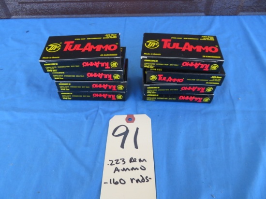 .223 Rem. Ammo - 160 rnds.