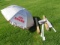 Lifeguard Umbrellas (Silver Creek Location)
