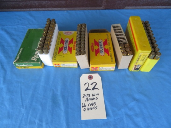 .243 Win. Ammo - 66 rnds.