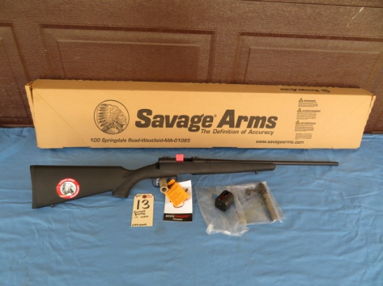 Savage B-MAG .17 WSM - BC181