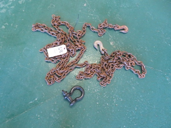 Log Chain & Clevis
