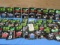 Hi-Viz Handgun Sights - 58 sets
