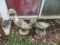 Concrete goose statues