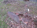 3 pt. 1 bottom plow