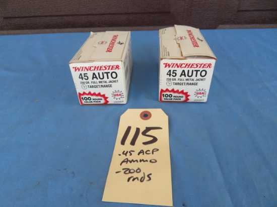 .45 ACP Ammo - 200 rounds