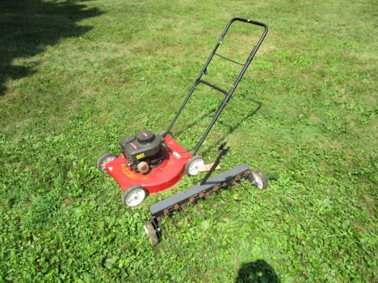 Push mower, lawn dethatcher