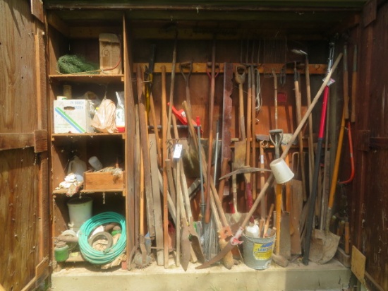 Contents of shed room - lawn & garden tools