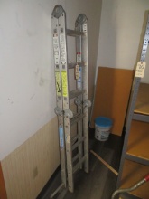 Krause 12' combo ladder
