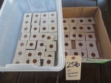 Lot of (50) Canadian Cents