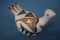 ACOMA NEW MEXICO TURKEY POTTERY!