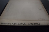 SEVEN ARROWS A BOOK BY HYEMOYOUSTS STORM!