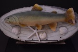 MOUNTED FISH W/SEA SHELLS 23