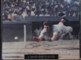 PETE ROSE SIGNED/CERT OF AUTHENTICITY 12