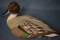 2003-04 DUCKS UNLIMITED DECOY!