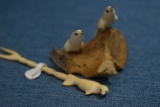 IVORY, SEE THE SEALS!