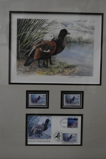 DUCKS UNLIMITED PRINT! NEW ZEALAND!