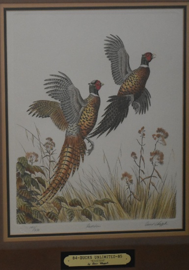 "ROOSTERS"