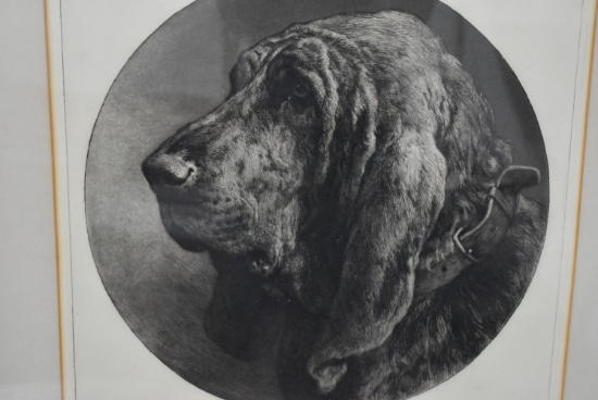 "THE VETERAN" ETCHING!