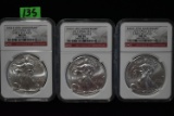 35TH ANNIVERSARY SILVER EAGLE COINS!