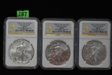 WEST POINT MINT SILVER EAGLES!