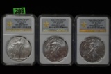 WEST POINT MINT SILVER EAGLES!