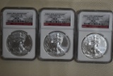 2011 SILVER EAGLES!