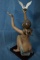 LLADRO # 3559 PEACE OFFERING!!!!! .