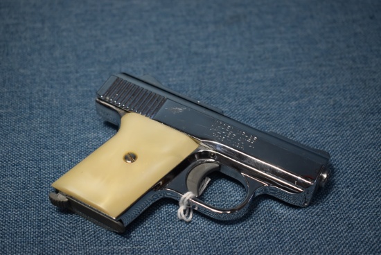 FIREARM/GUN RAVEN ARMS MP25 !! H 633