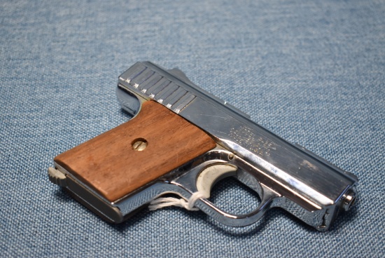 FIREARM/GUN RAVEN ARMS P-25 H 636