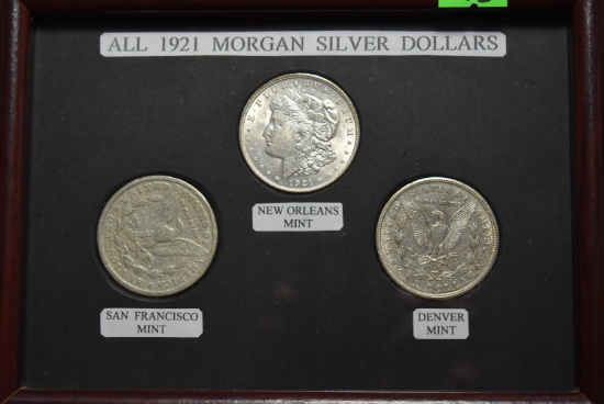 SHOWCASED MORGANS!!!