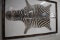 ZEBRA HIDE ART!!!