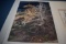 BEV DOOLITTLE ART!!
