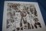 BEV DOOLITTLE ART!!!