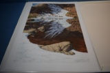 BEV DOOLITTLE ART!!