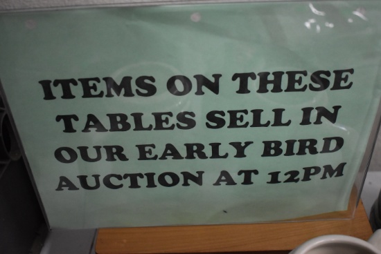 EARLY BIRD PHOTOS! INFO ONLY DO NOT BID ONLINE!