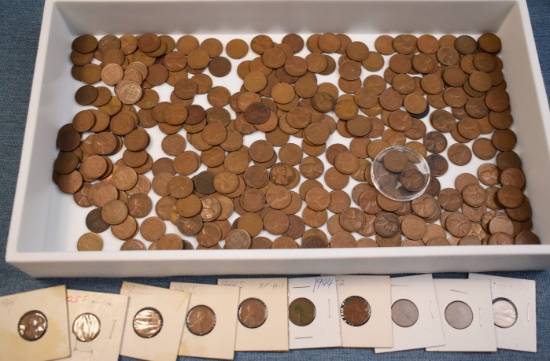 WHEAT PENNY COLLECTION!!!