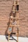 SOUTHWEST ACCENT LADDERS!!