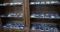 MIB HOTWHEELS!!!