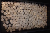 SILVER DIME COLLECTION!!