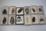 CABOCHANS!!