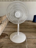 Fan