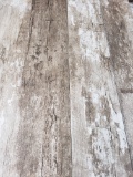 Driftwood - 6