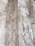 Driftwood - 6