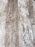 Driftwood - 6